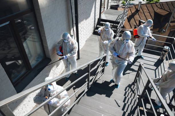 Best Mold Prevention Services  in Anderson, SC