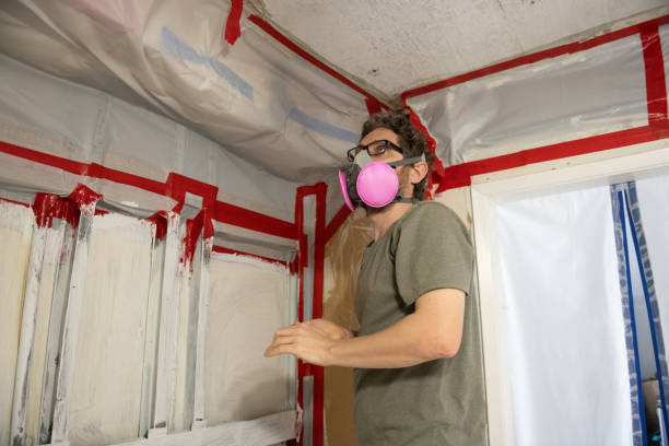Asbestos and Lead Testing During Mold Inspection in Anderson, SC