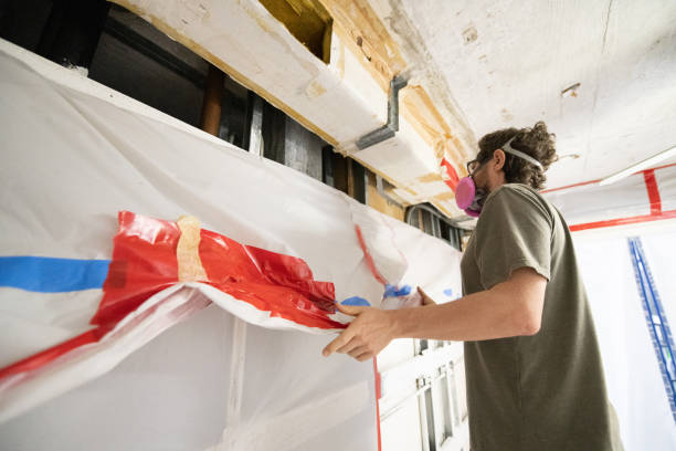 Trusted Anderson, SC Mold Removal Experts
