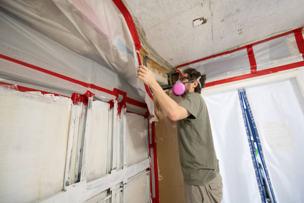 Best Air Quality Testing for Mold Spores  in Anderson, SC
