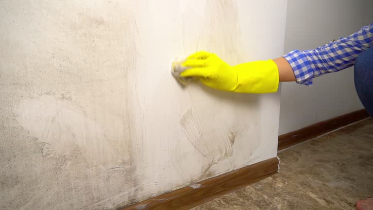 Best Mold Odor Removal Services  in Anderson, SC