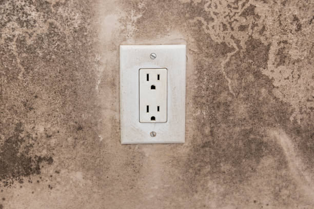 Best HVAC Mold Inspection and Cleaning  in Anderson, SC