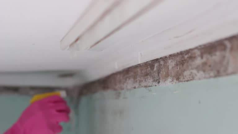 Best Airborne Mold Testing  in Anderson, SC